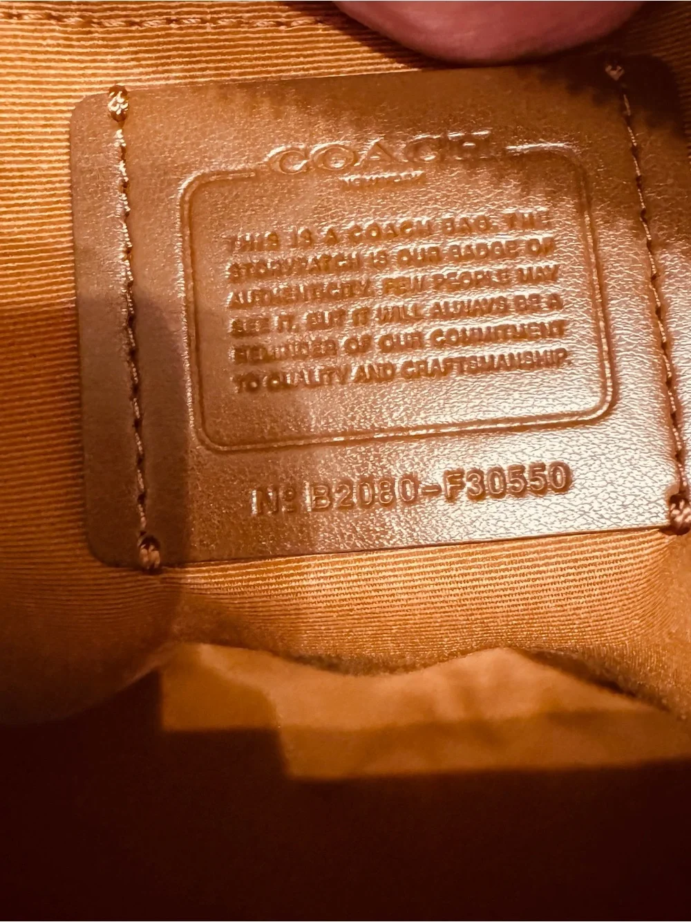 Coach Charlie medium size pebble leather backpack.